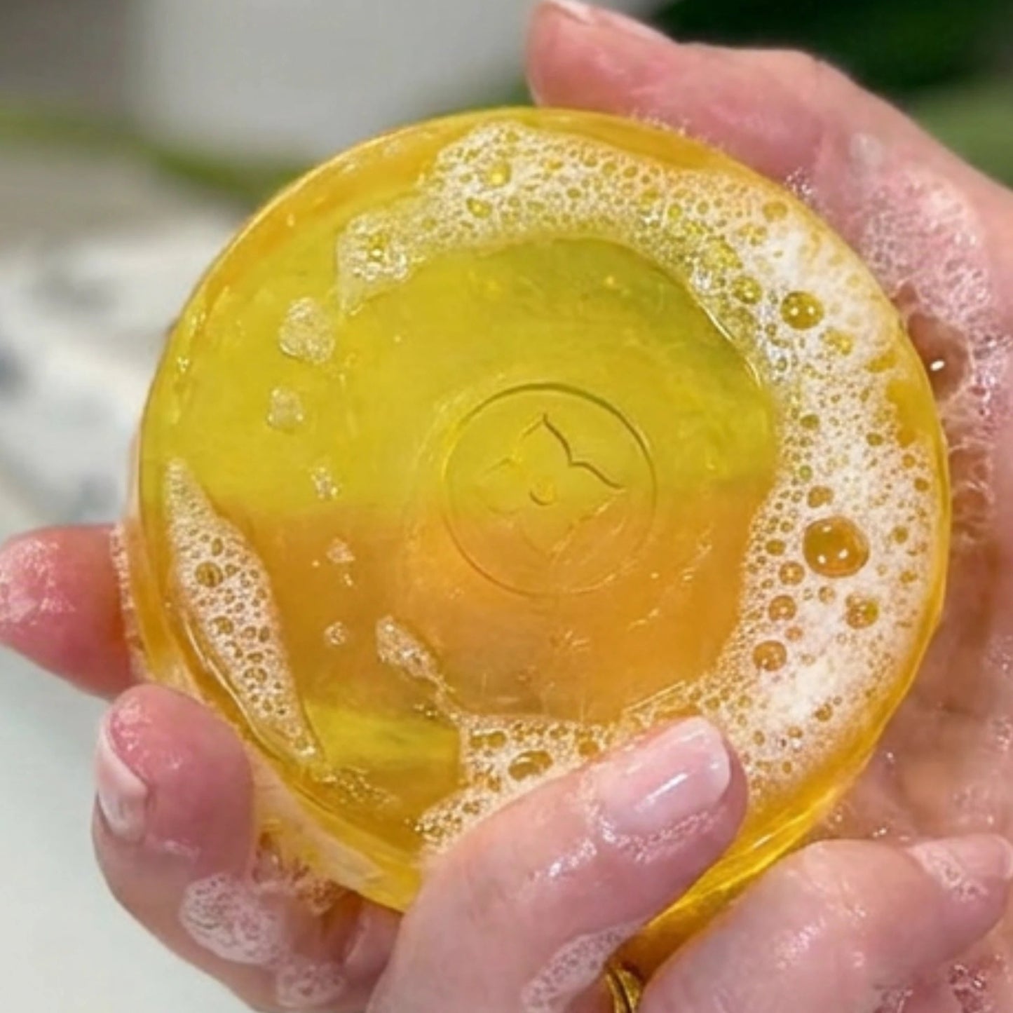 Summer Freshness Sale for persimmon soap